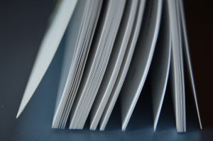 Le Livre Blanc du Collectif régional arts et culture Nord-Pas-de-Calais Picardie