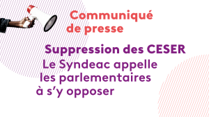 Suppression des CESER : le Syndeac appelle les parlementaires à s’y opposer